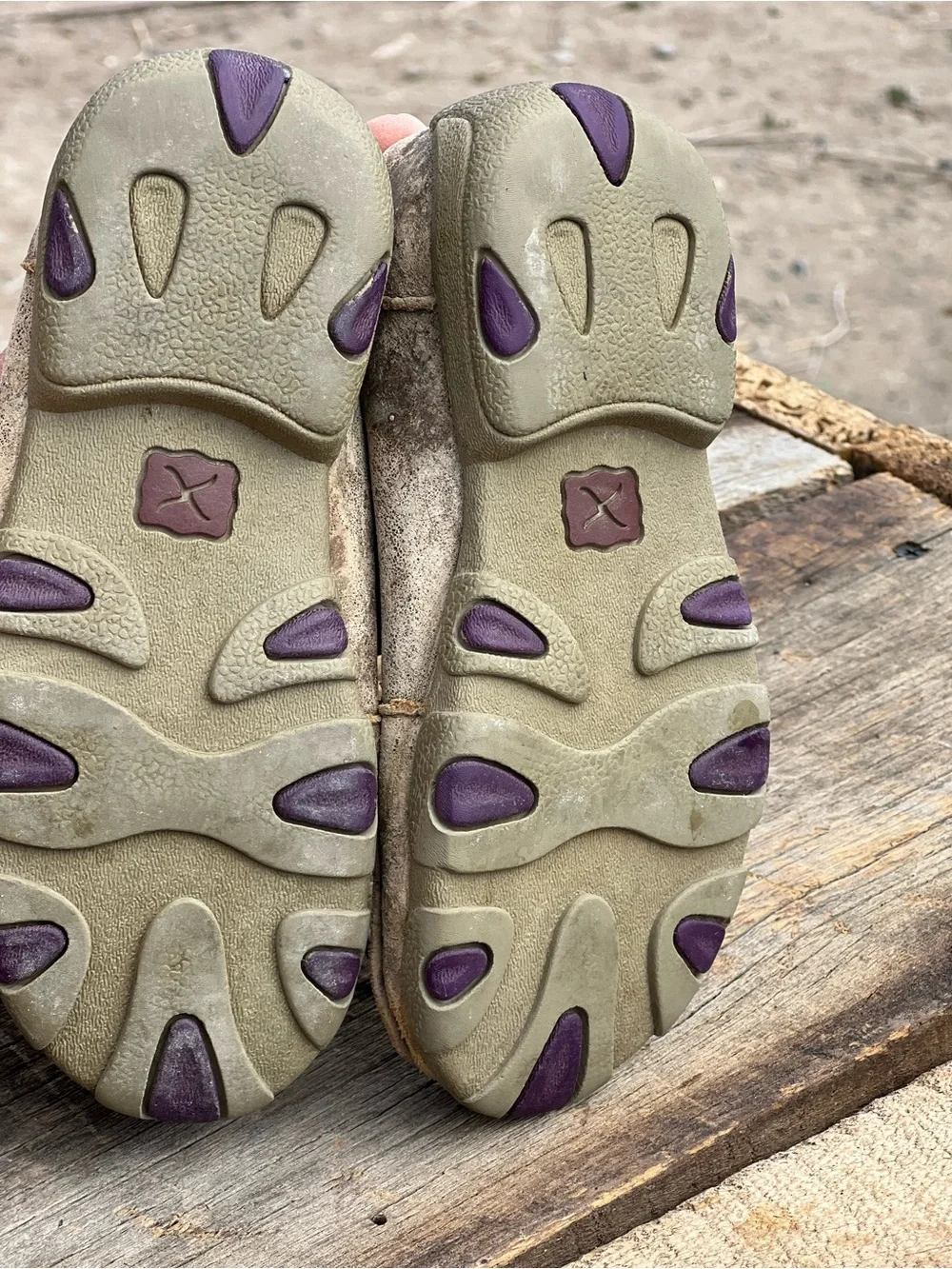 Timberland Taupe Suede Shoes with Purple Laces